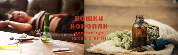 ПСИЛОЦИБИНОВЫЕ ГРИБЫ Аркадак