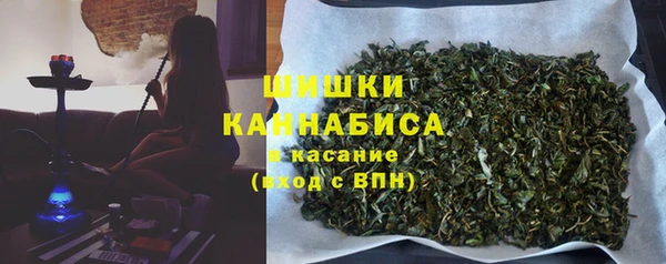 ПСИЛОЦИБИНОВЫЕ ГРИБЫ Аркадак