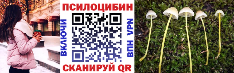 Галлюциногенные грибы Magic Shrooms  закладки  Пучеж 